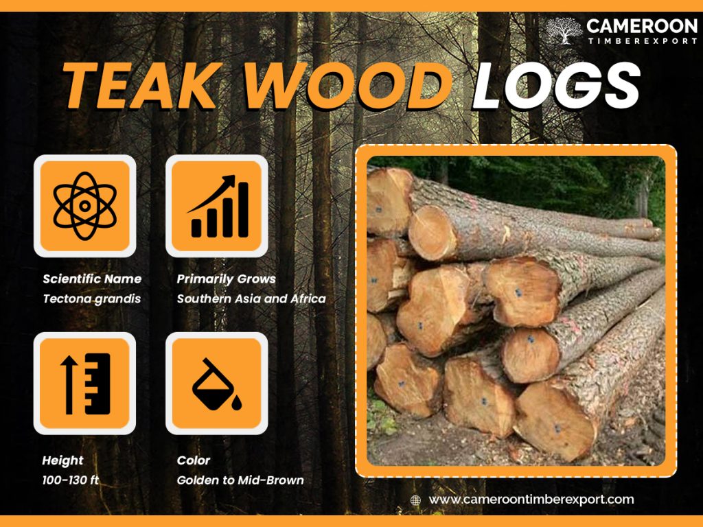 Genuine Teak Timber For Sale Worldwide At Best Price