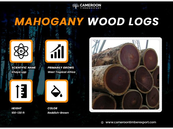 mahogany wood logs