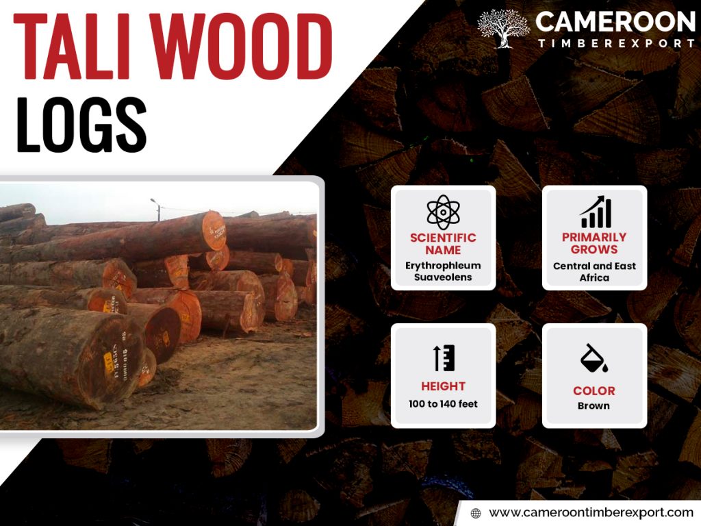 Tali Wood Logs Supplying & Exporting By Cameroon Timber Export