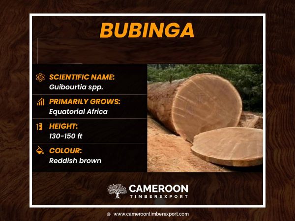 bubinga timber properties