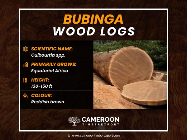 bubinga wood logs