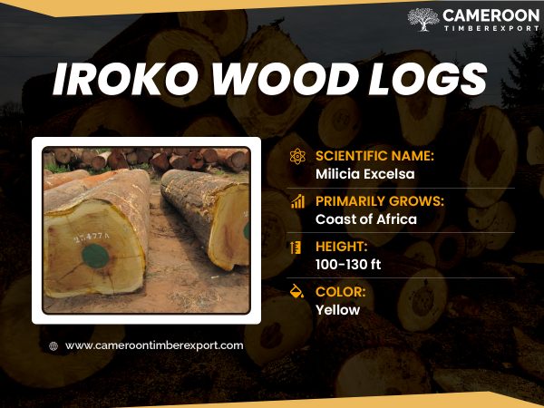 iroko wood logs