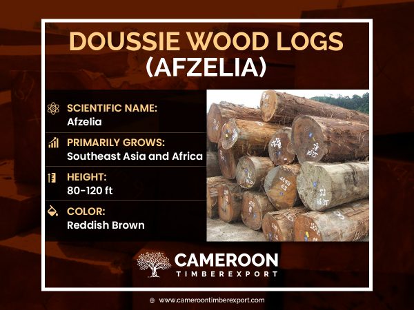 Doussie wood logs