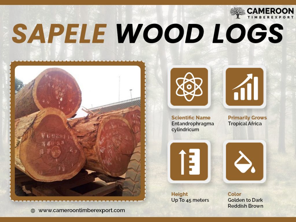 Sapele Wood Properties, Characteristics & Uses