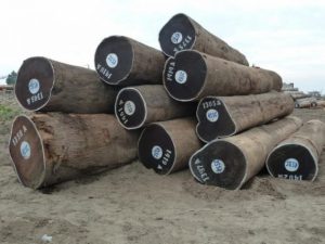 Wenge Round logs for cladding