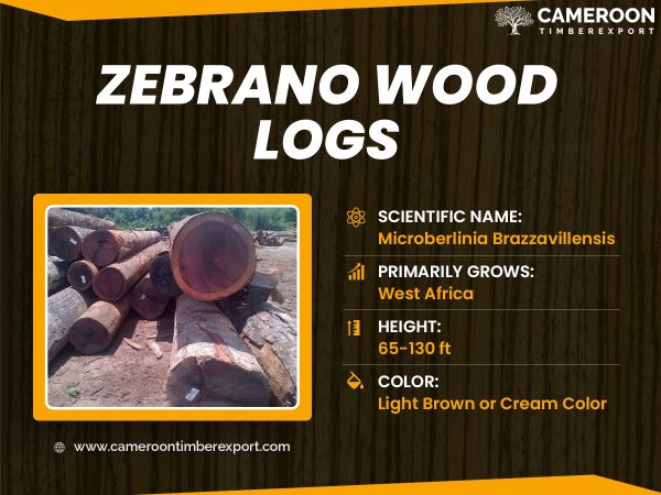 Zebrano wood