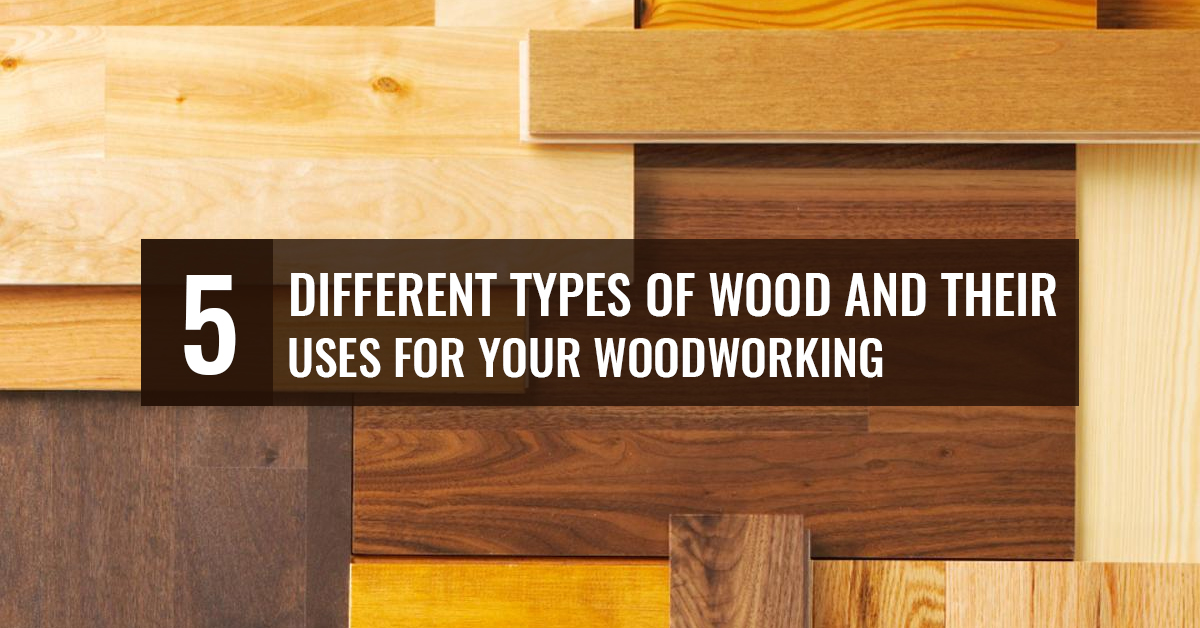 Different Types Of Wood And Their Uses