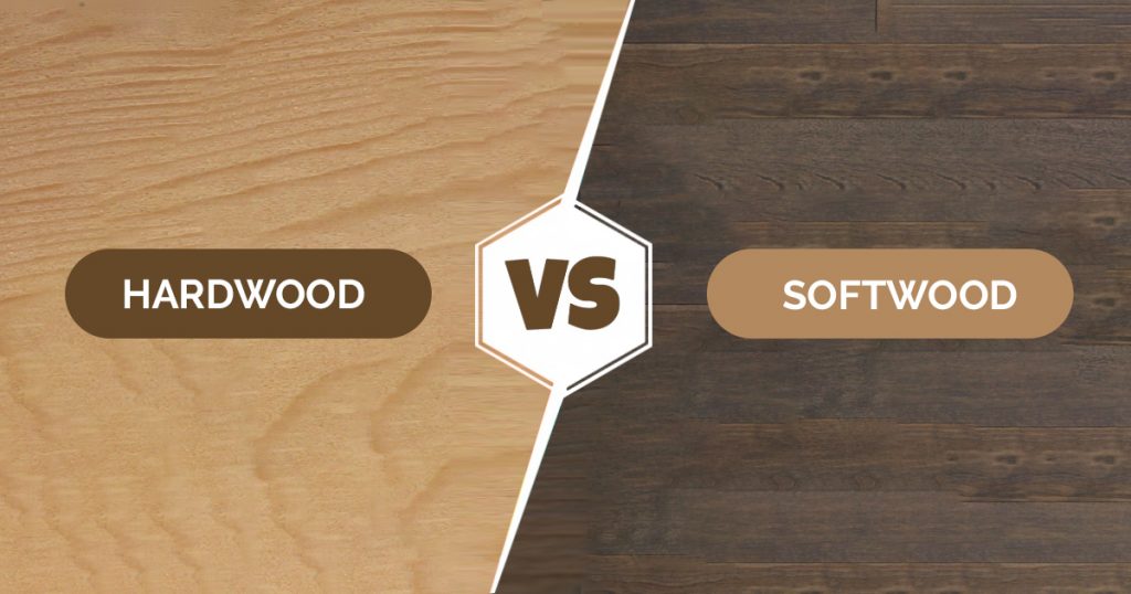 The (Differences, Uses, Examples) Between Hardwood And Softwood