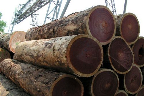 Azobe Wood Logs