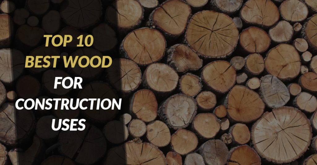 Top 10 Best Wood For Construction Uses