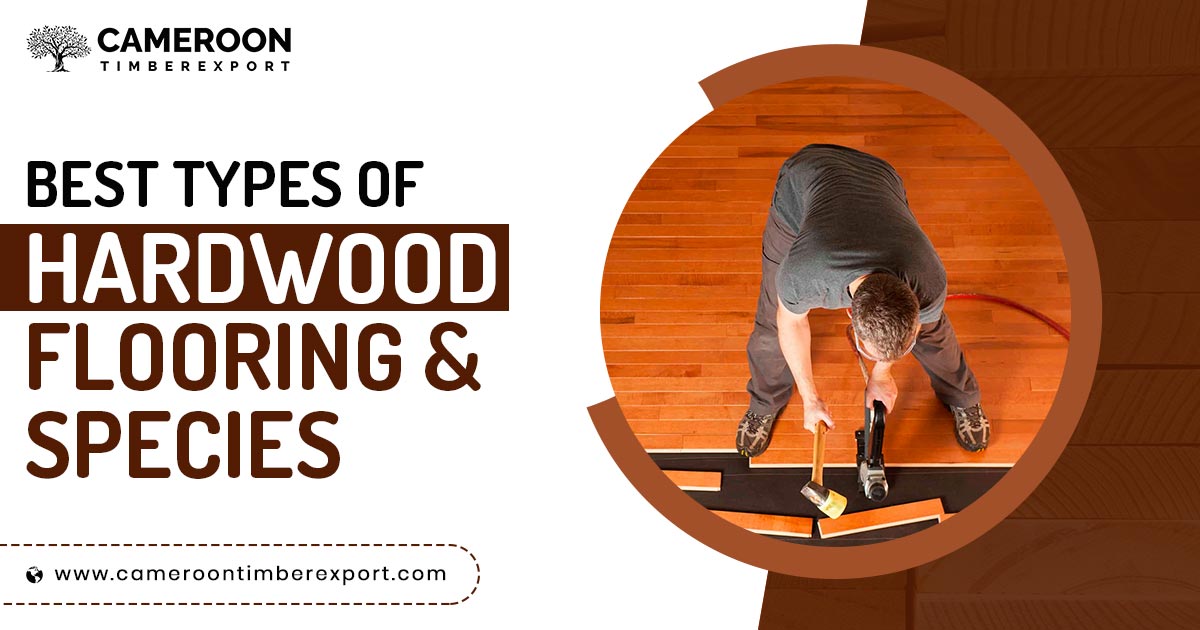 Best Types of Hardwood Flooring & Species