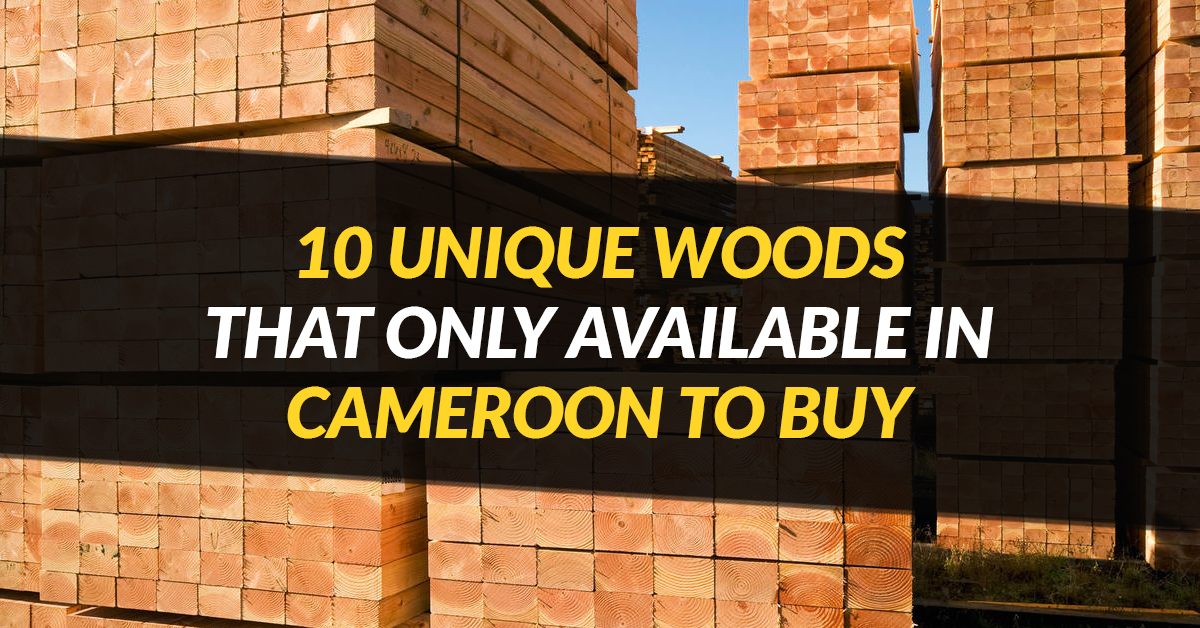10 Unique Woods That Only Available in Cameroon To Buy
