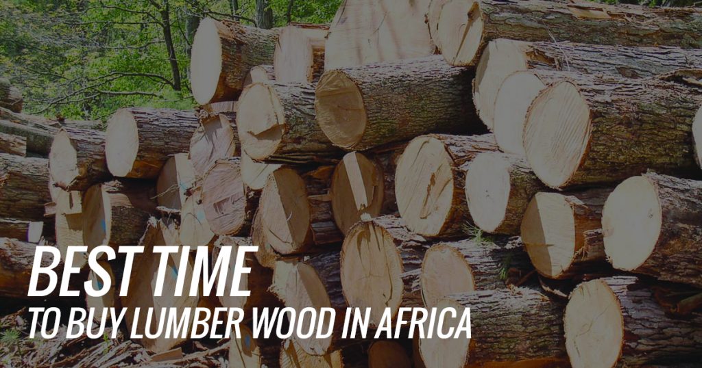 Best Time to Buy Lumber Wood in Africa