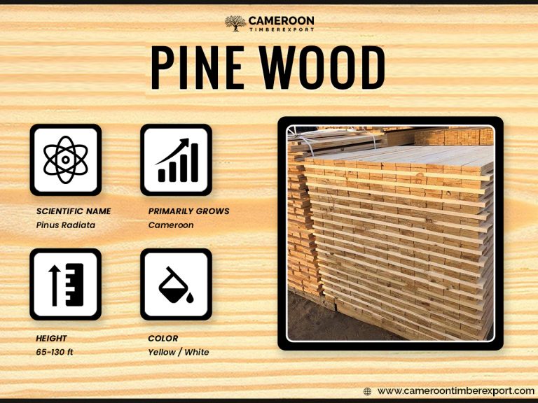 Premium Pine Wood for Sale at Affordable Price