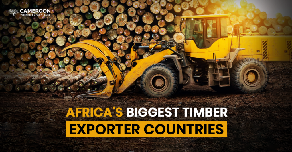 Africa's Biggest Timber Exporter Countries