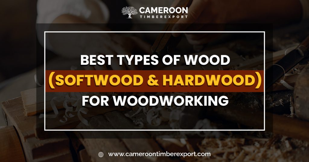 best types of wood for woodworking