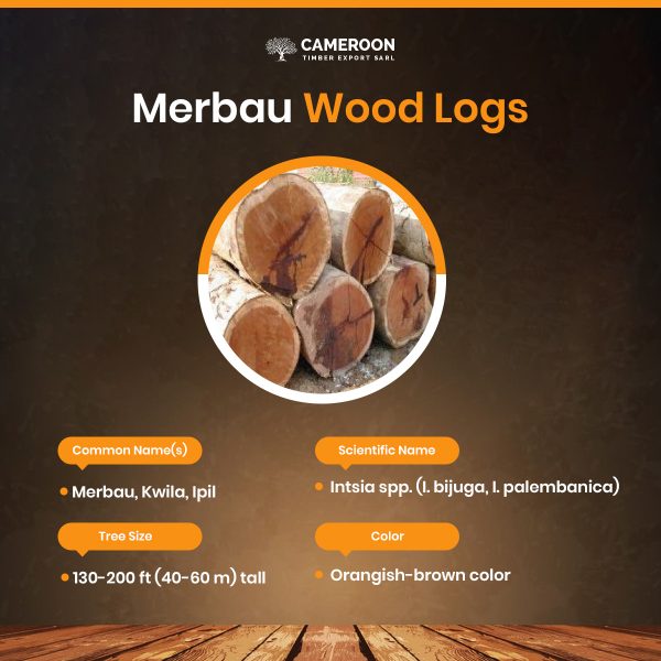 merbau wood properties