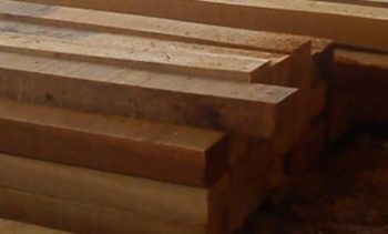 merbau sawn timber