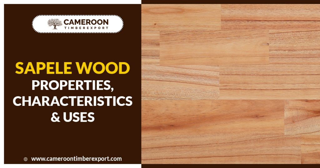 Sapele Wood Properties, Characteristics & Uses