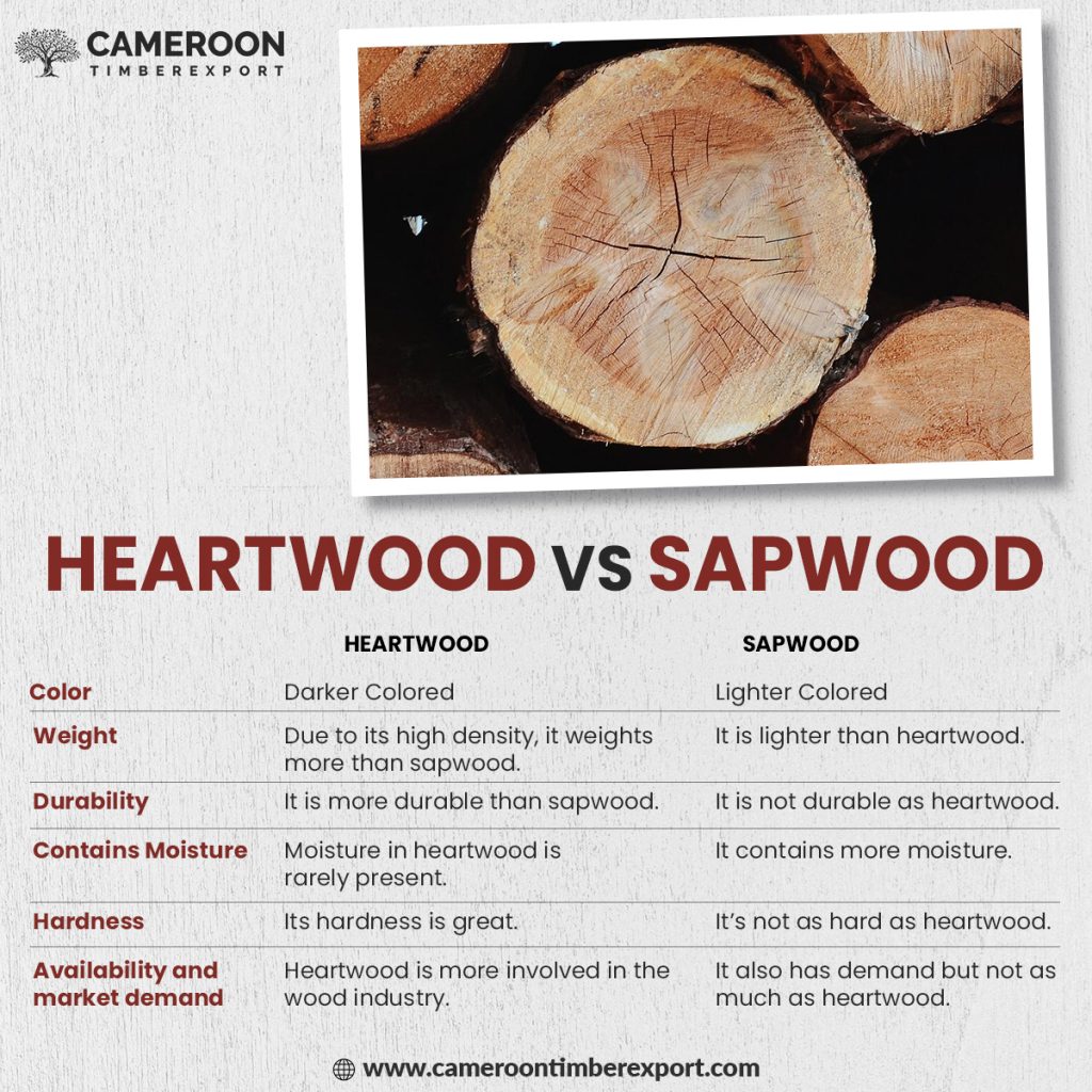 difference between heartwood and sapwood