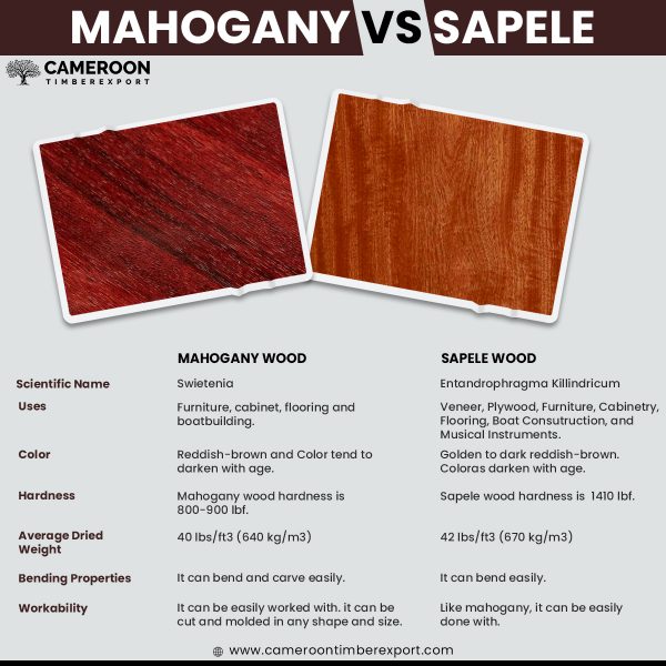 Mahogany vs Sapele Comparison Based On Properties & Uses