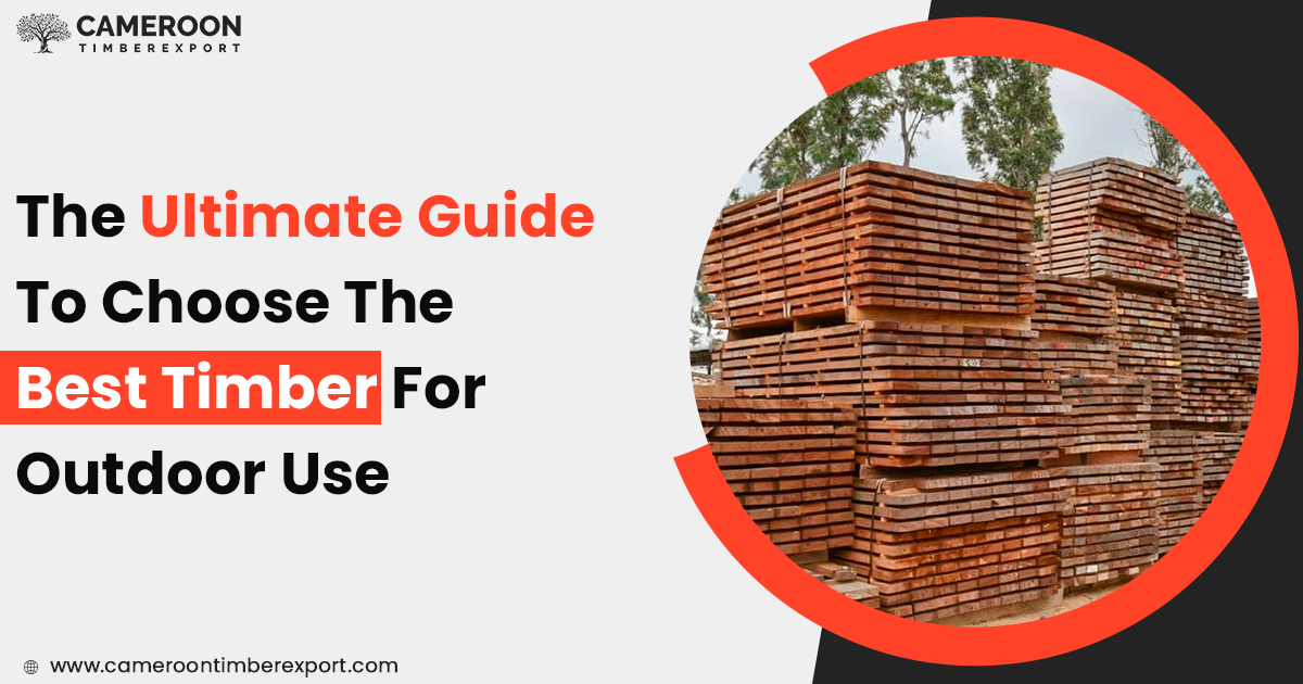 choose best timber for outdoor use