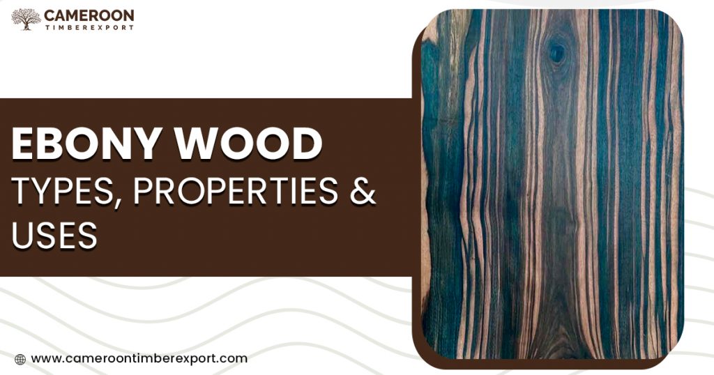 ebony wood types, properties & uses