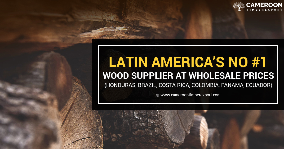 best wood supplier in Latin America