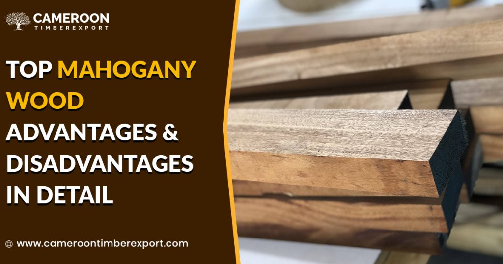 Advantages and Disadvantages of mahogany wood