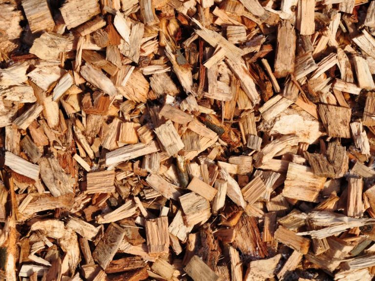 Buy Quality Wood Chips At Best Price Available Online