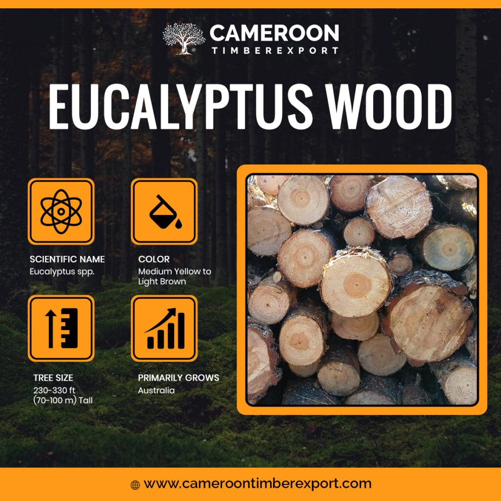 Eucalyptus Wood Logs Order Online With Doorstep Delivery