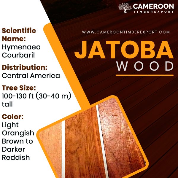 jatoba timber wood properties