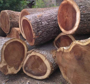 saman wood logs