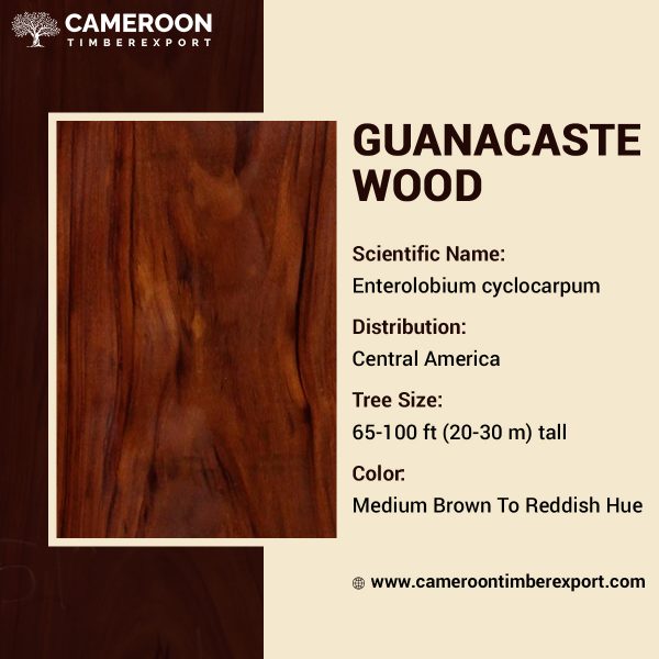 Guanacaste Timber