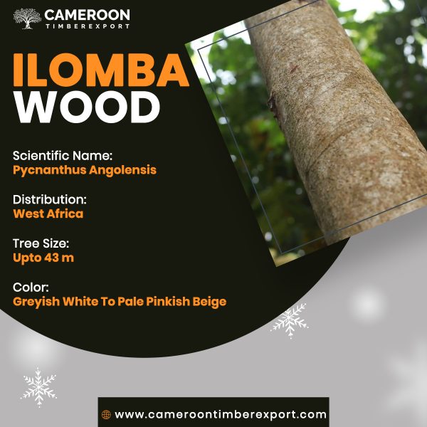 ilomba wood