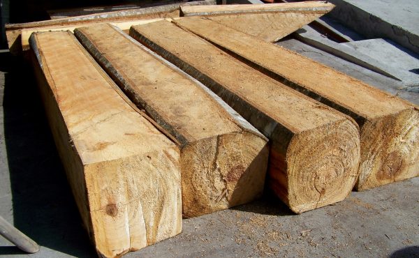 balsa wood logs