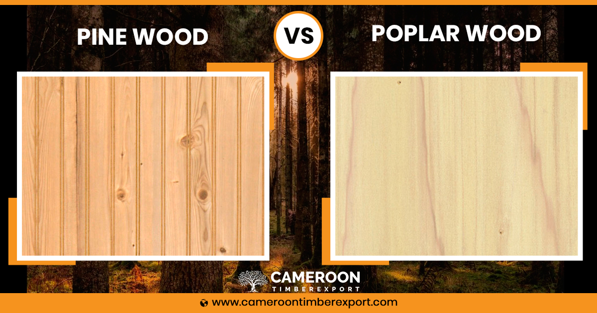 pine wood vs poplar wood