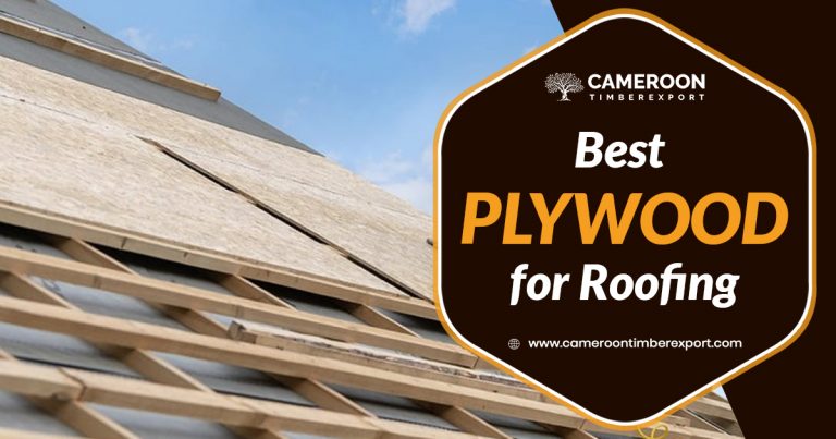 how to choose the best plywood for roofing