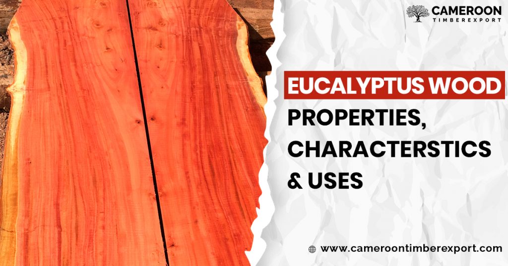 eucalyptus wood properties