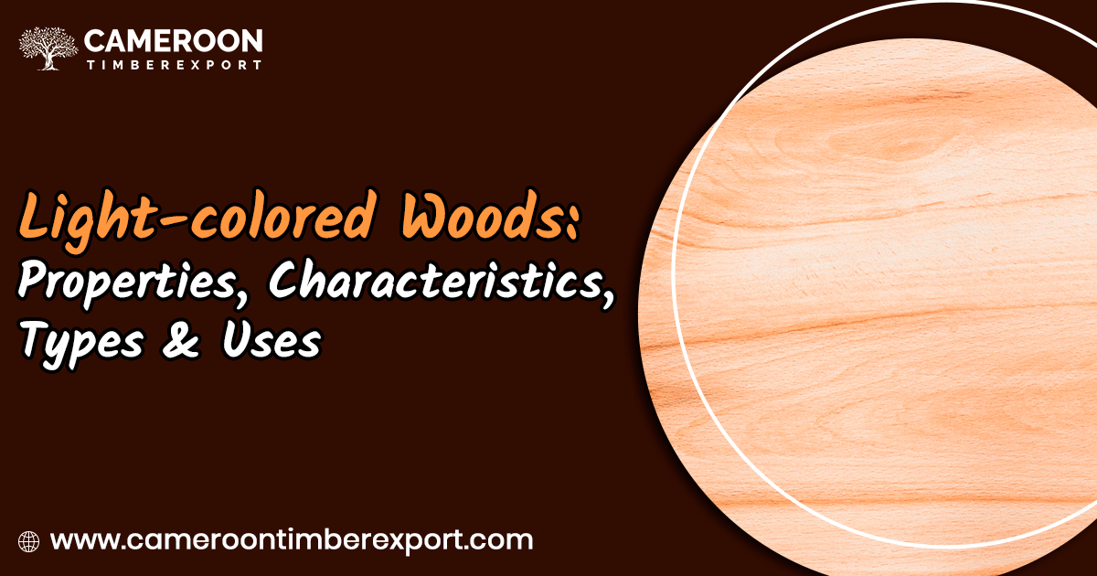 light colored woods types, charecterstics