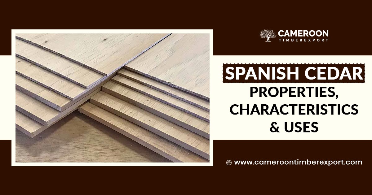 spanish cedar properties and uses