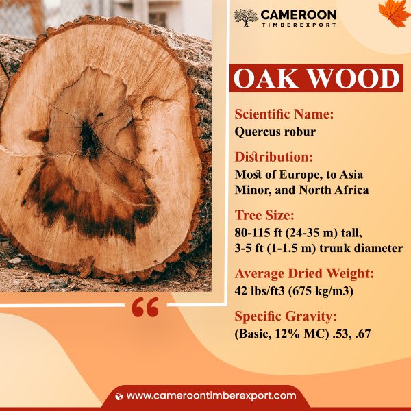oak wood properties