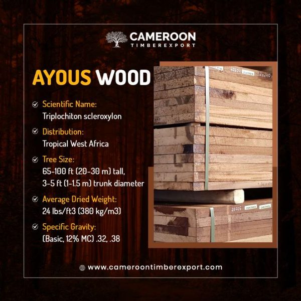 ayous wood properties