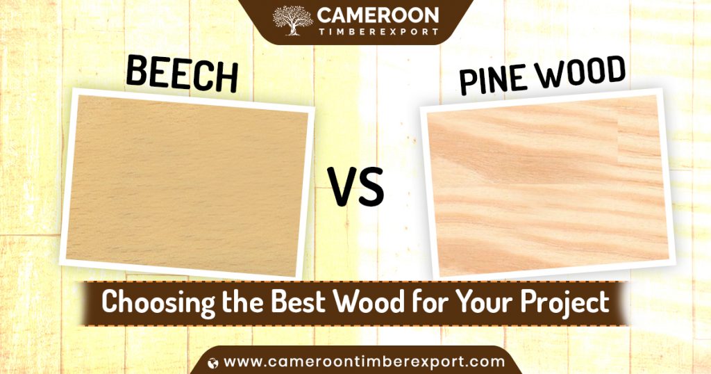 beech vs pine wood