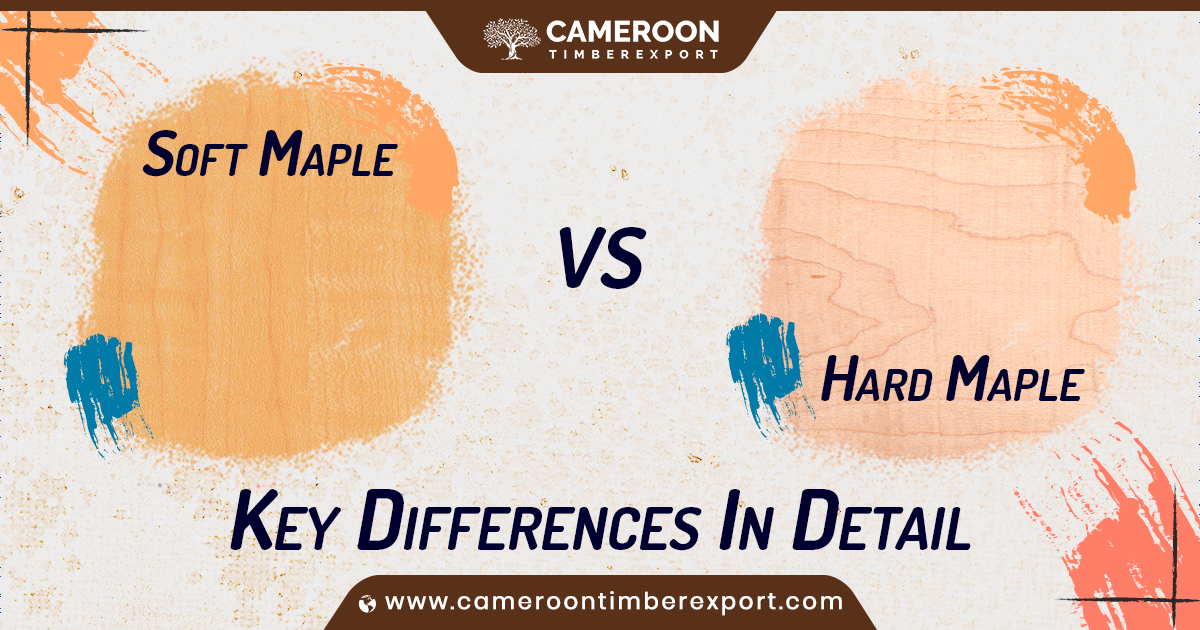 soft maple vs hard maple