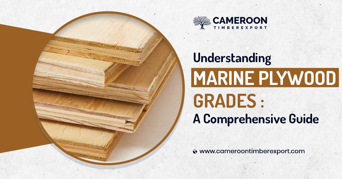 Marine Plywood Grades