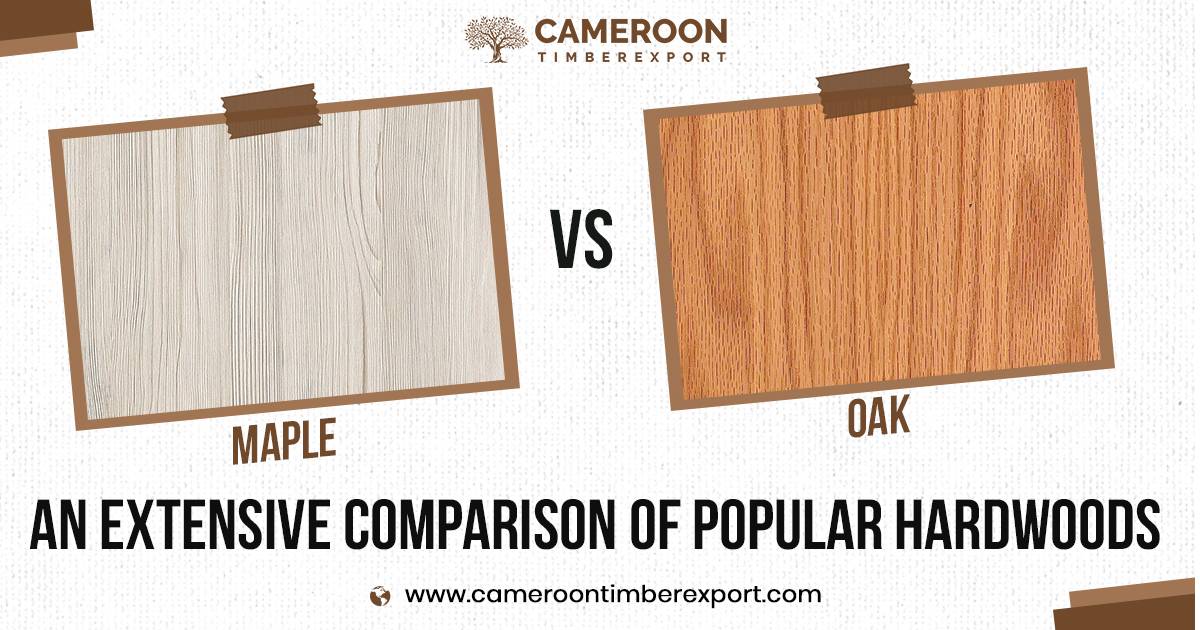 maple vs oak