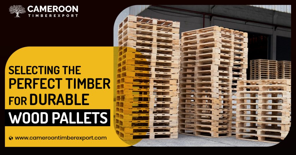 timber for making pallets