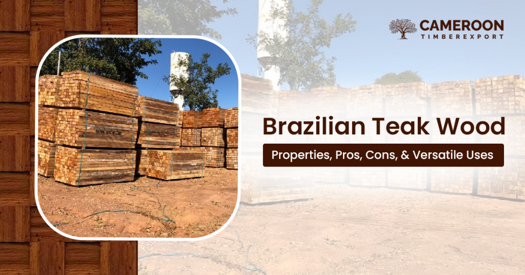 Brazilian Teak Wood Properties, Pros, Cons, & Versatile Uses
