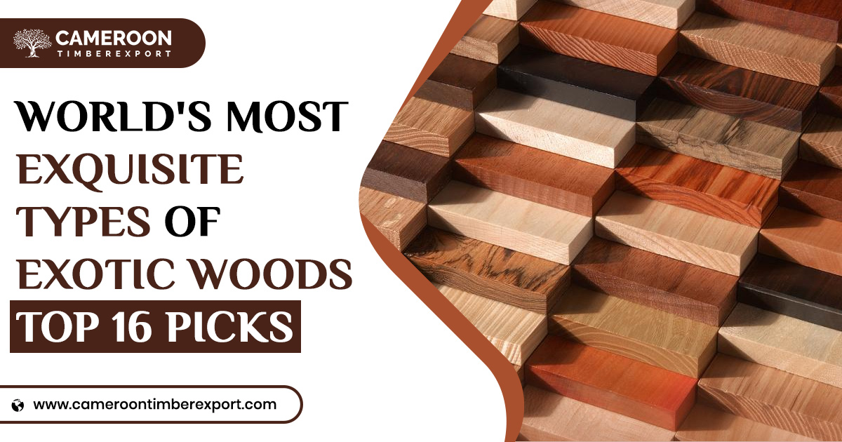 Types of Exotic Woods